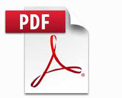 PDF logo